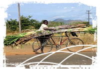 National Low Cost Rural Electrification Plan